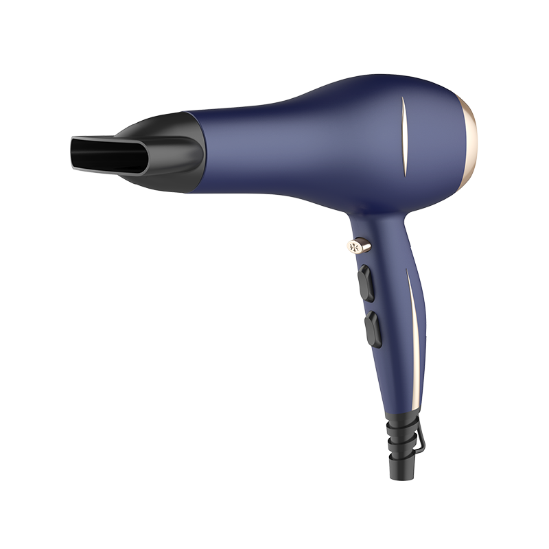 HD-1816F Professional Hair Dryer