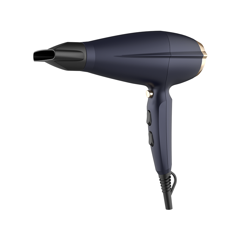 HD-160 Professio Hair Dryer