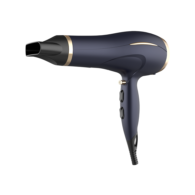 HD-180 Professio Hair Dryer