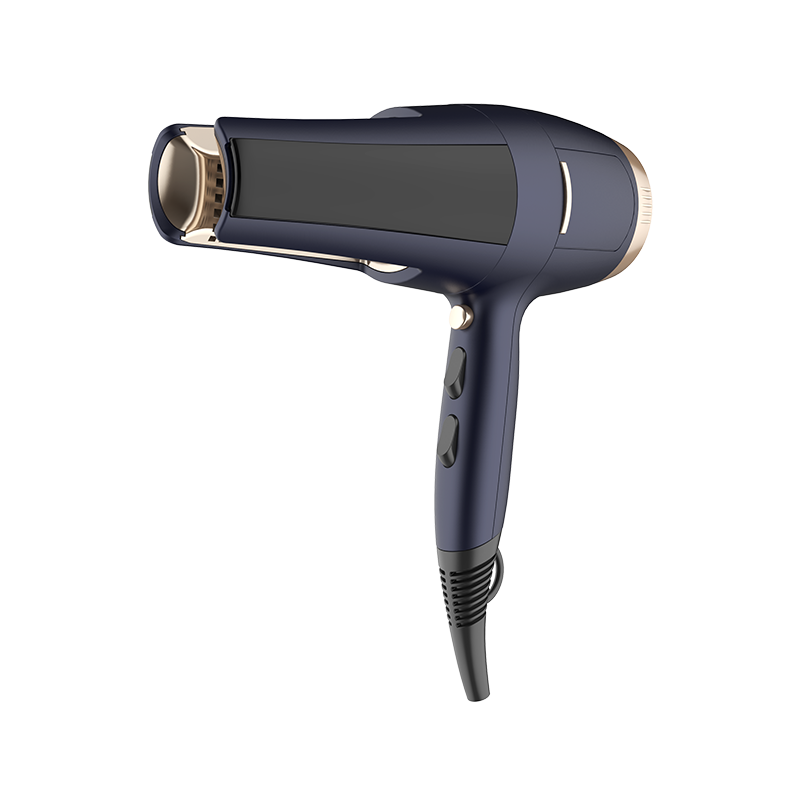 HD-161 Hair Dryer